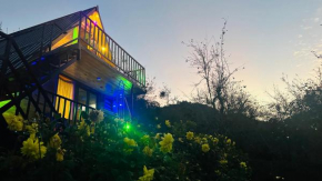 Magica Mount Wood House